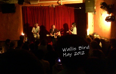 Wallis Bird